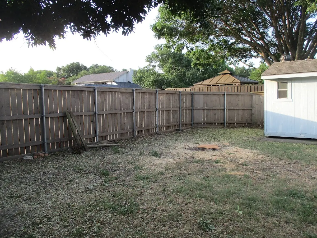 Cleared yard after professional tree removal in Hampden Sydney